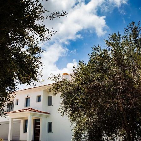 Villa Despoina Paphos Ngoại thất bức ảnh