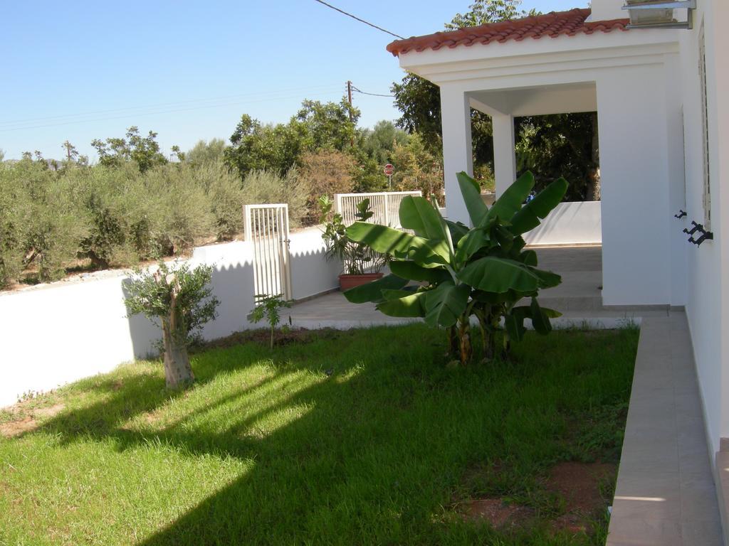 Villa Despoina Paphos Ngoại thất bức ảnh
